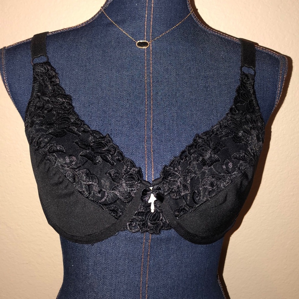 Brand-New Size 36D LYNDA Bra